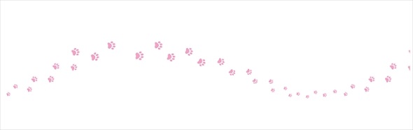 猫のトイレットペーパー