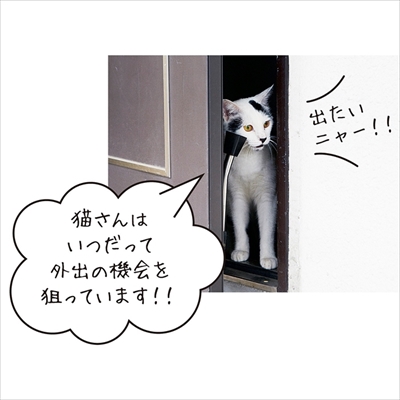 猫が飛び出します　マグネットステッカー