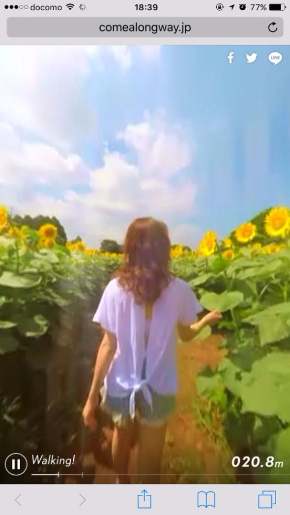 FlowBack ミュージックビデオ MV 歩きスマホ