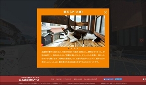 広島キャットストリートビュー竹原編