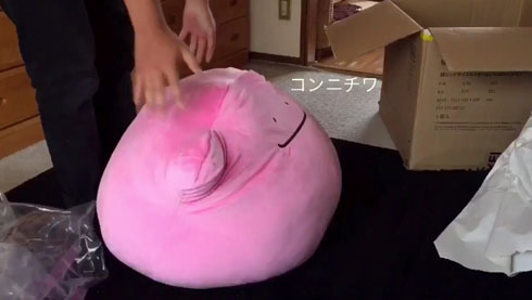 メタモンの「超ビッグサイズもっちりぬいぐるみ」発送開始 購入