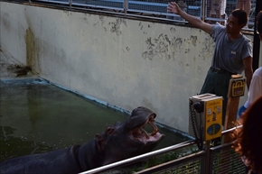 東武動物公園　オータムナイトZOO