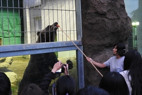 東武動物公園　オータムナイトZOO