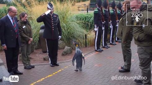 ニルス・オーラヴ 准将 昇進 ペンギン ノルウェー軍