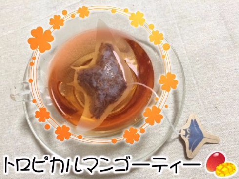 グソクムシ ティーバッグ 大翔水産 OCEAN-TEABAG