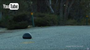 スイカ 落下 ラインエックス LINE-X 実験