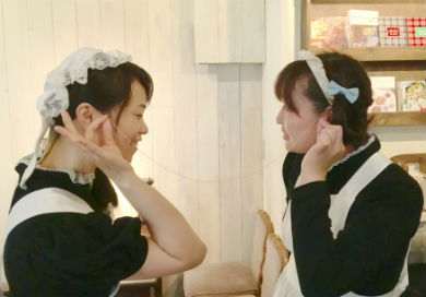 シャッツキステ