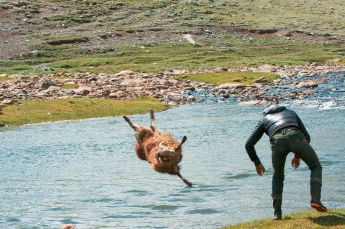 ぶん投げられるひつじ