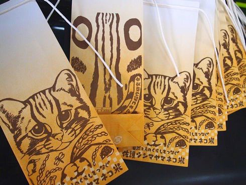 佐護ツシマヤマネコ米