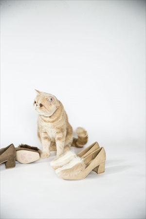 マッシュ×ランダ　コラボシューズ