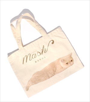 マッシュ×ランダ　コラボシューズ