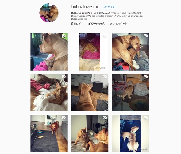 BubbaとRueの仲良しな姿がいっぱい！