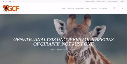 キリン　研究　遺伝子