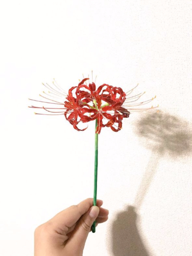 ガラス 彼岸花 つのだ アート