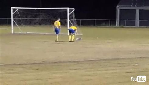 オーストラリアのサッカーの試合中にコアラが乱入