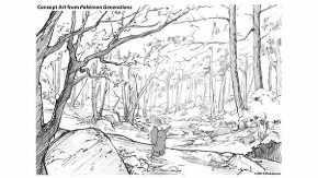 ポケモン 新作アニメ 海外 Pokémon Generations