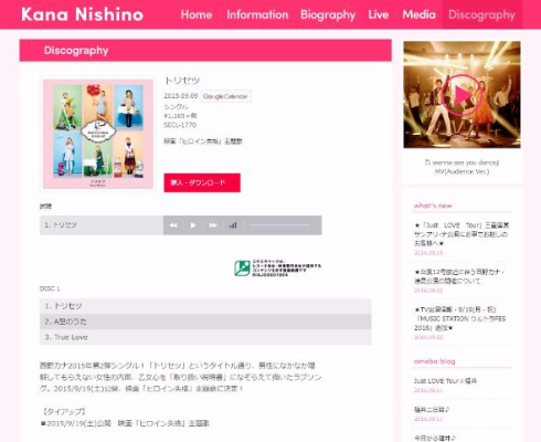 西野カナ トリセツ 法的 解釈 瑕疵