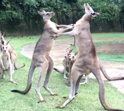 争いは同じレベルの者同士でしか発生しない！