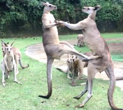 争いは同じレベルの者同士でしか発生しない！