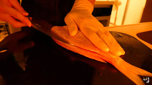 手作り猫まんま