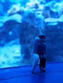 サンシャイン水族館限定PUTITTO