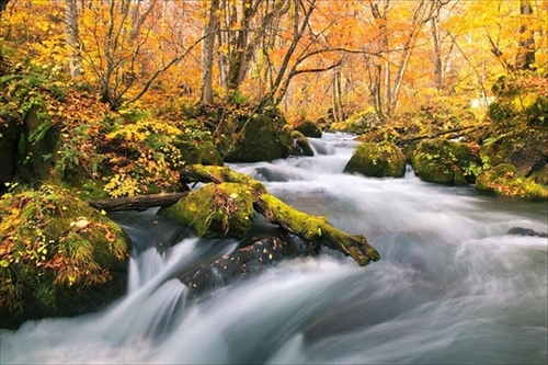 紅葉名所ランキング