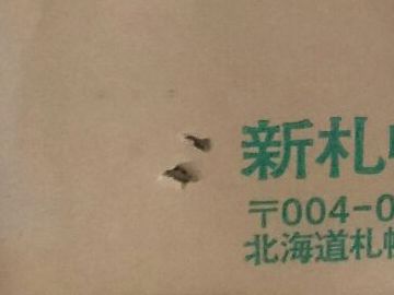 ダンボールにコンセントプラグを差す