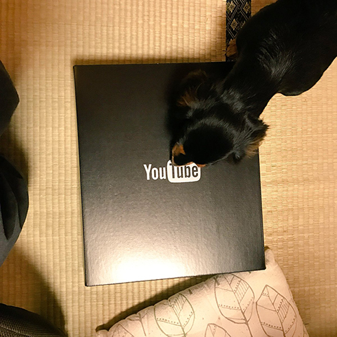 YouTubeクリエイター表彰プログラム