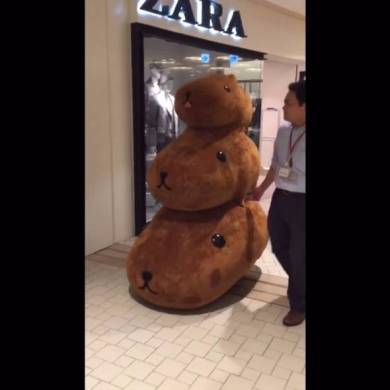 カピバラさん　3匹　ソラマチ