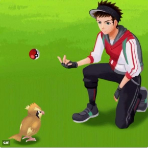 ポケモンGO VSポッポ モンスターボール あるある GIF