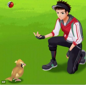 ポケモンGO VSポッポ モンスターボール あるある GIF