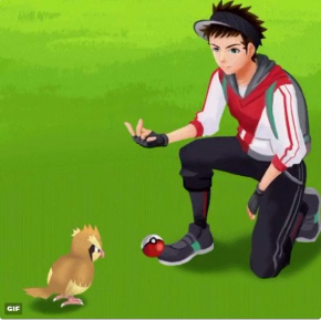 ポケモンGO VSポッポ モンスターボール あるある GIF