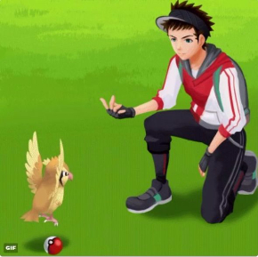 ポケモンGO VSポッポ モンスターボール あるある GIF
