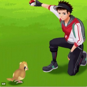 ポケモンGO VSポッポ モンスターボール あるある GIF