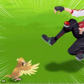 ポケモンGO VSポッポ モンスターボール あるある GIF