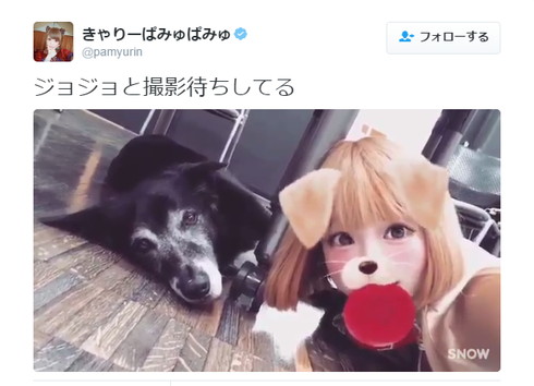きゃりーさんと犬のジョジョ