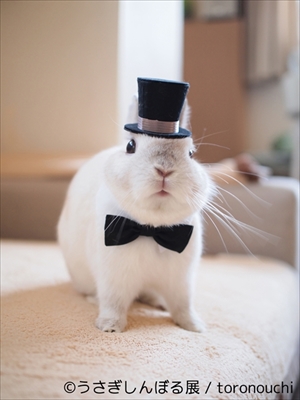 うさぎしんぼる展