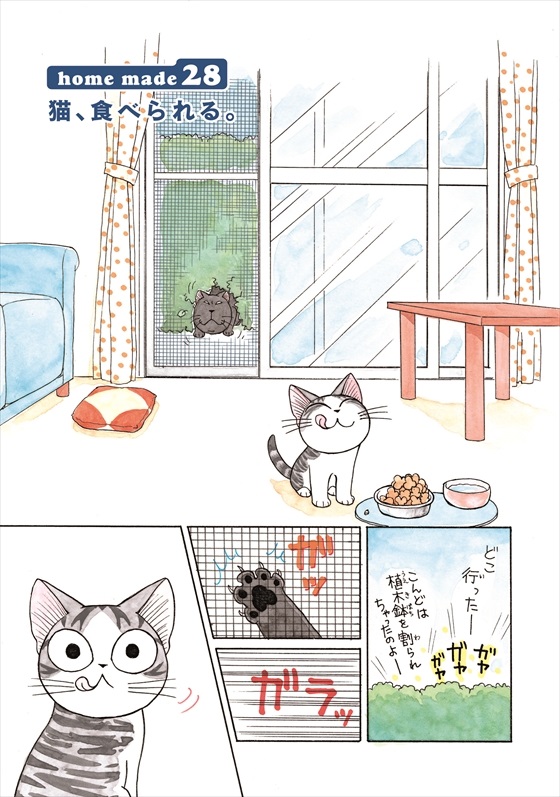 チーズスイートホーム