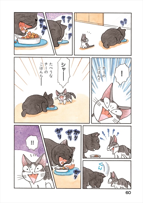 チーズスイートホーム