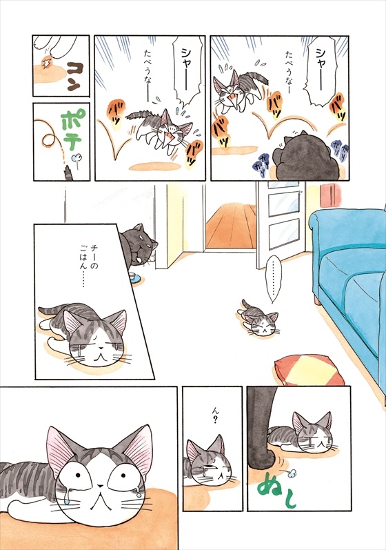 チーズスイートホーム