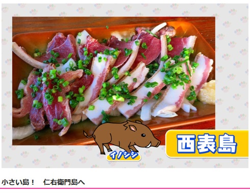 あさイチ イノシシの刺身