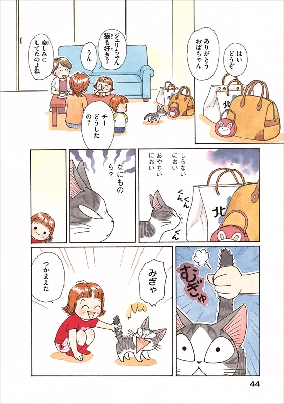 チーズスイートホーム