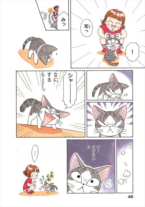 チーズスイートホーム