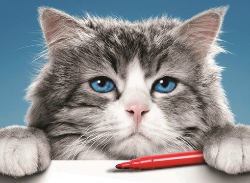 「メン・イン・キャット」ビジュアル