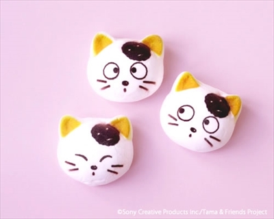 タマニャシュマロ