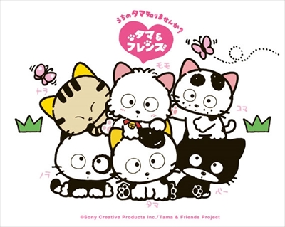 タマニャシュマロ