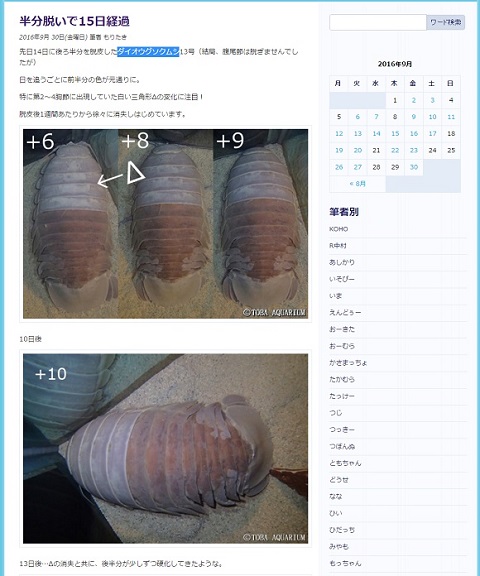 ダイオウグソクムシ