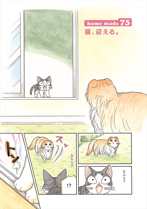 チーズスイートホーム