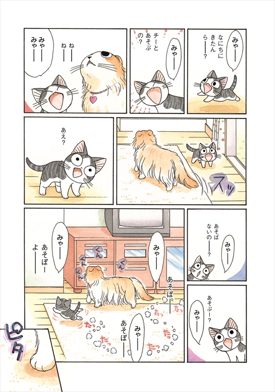 チーズスイートホーム