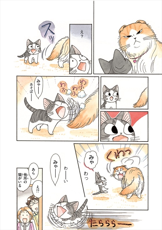 チーズスイートホーム